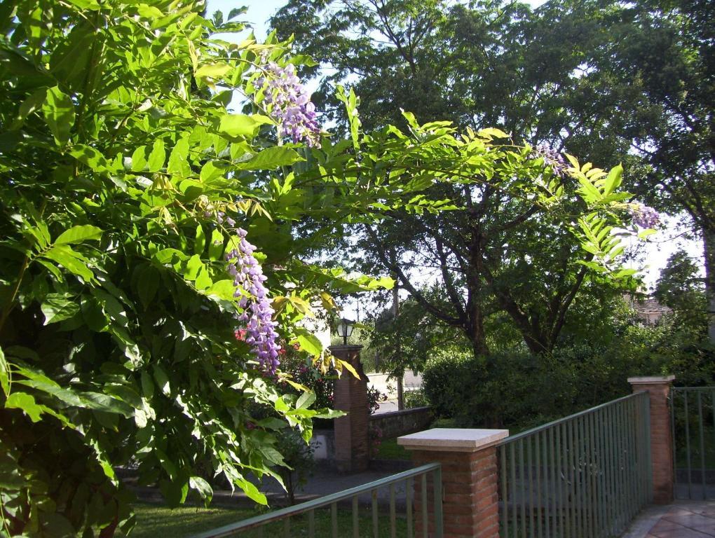 Hotel Del Sole ซอรา ภายนอก รูปภาพ
